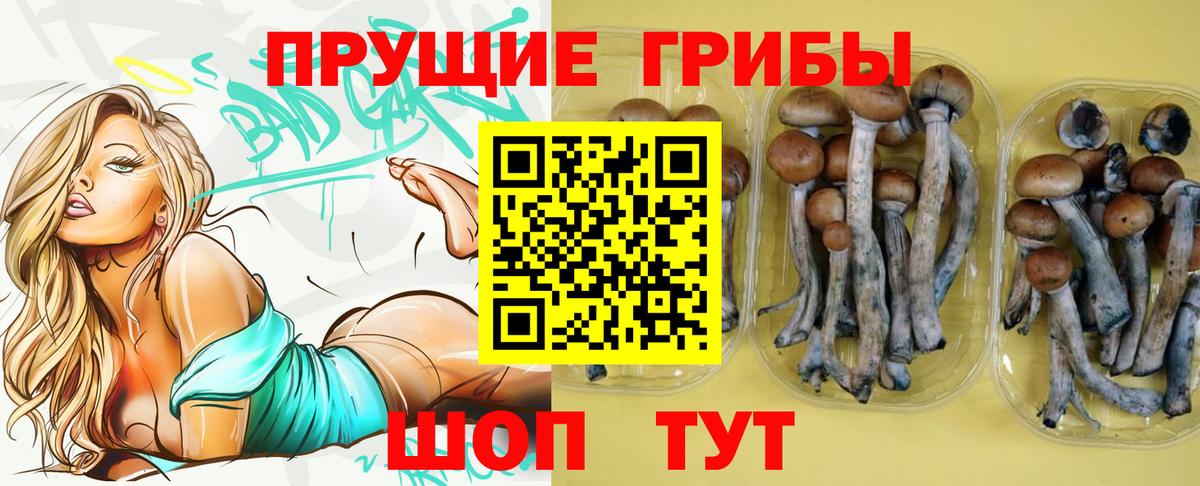 Волхов  Псилоцибиновые грибы GOLDEN TEACHER  Вход с VPN 