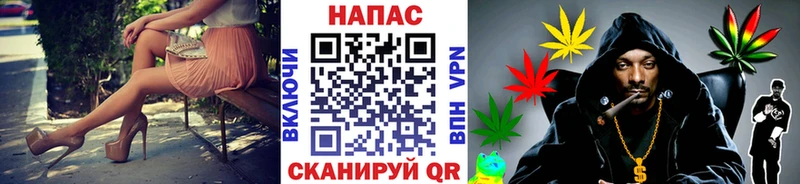 как найти наркотики  Волхов  МАРИХУАНА конопля 